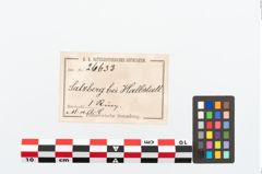 Etikett zu Bronzeringgehängering (NHMW-PRAE-026633)